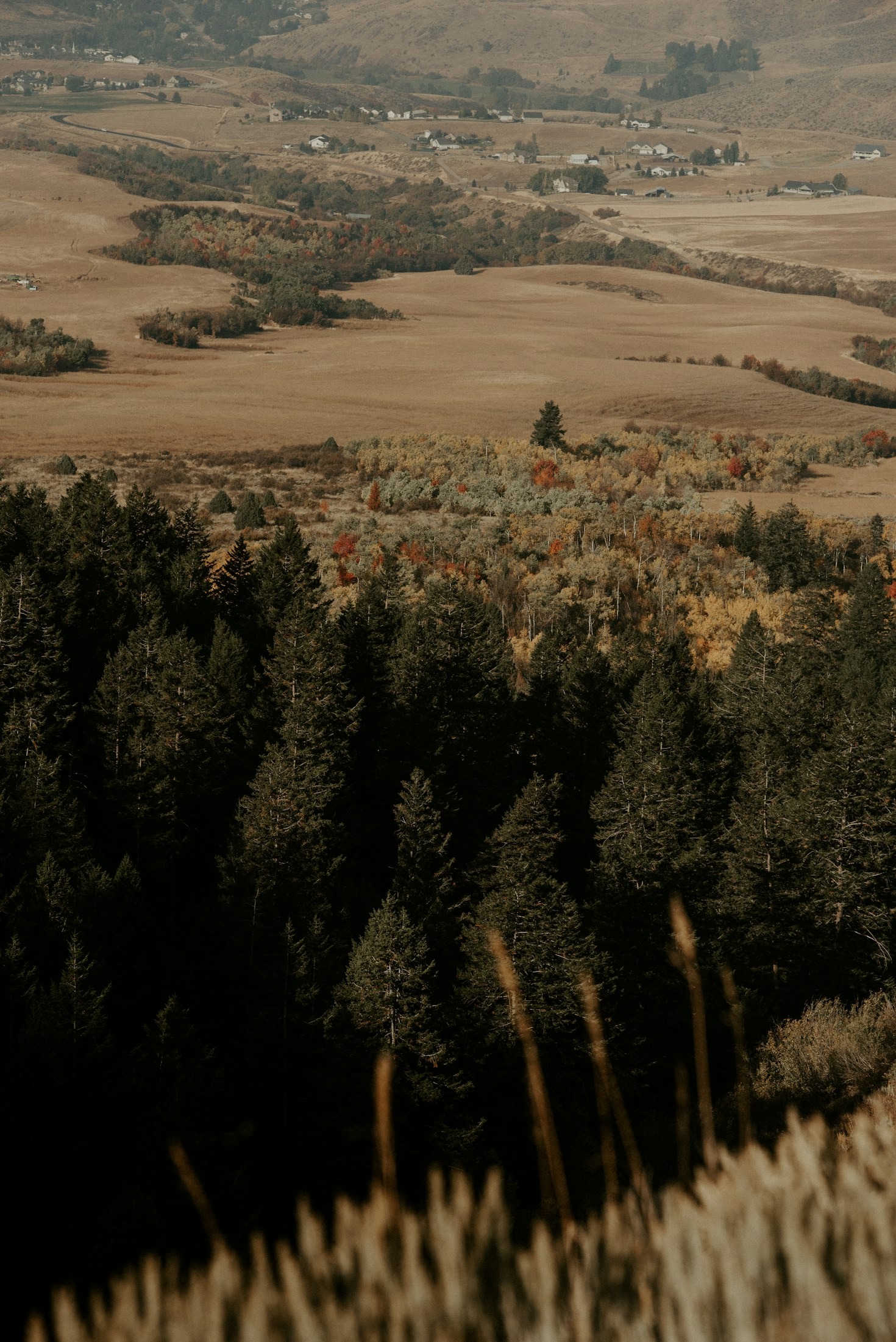 Top 5 Outdoor Adventures Near the Fox River