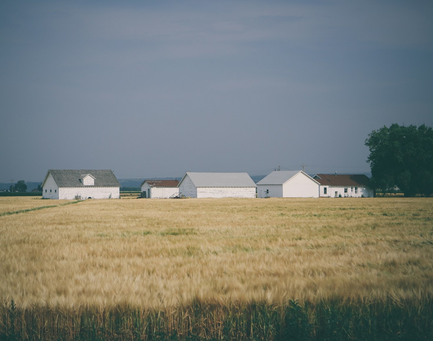 Discovering the Heart of McHenry’s Culture